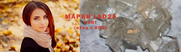 ГАЛЛЮЦИНОГЕННЫЕ ГРИБЫ Белоозёрский