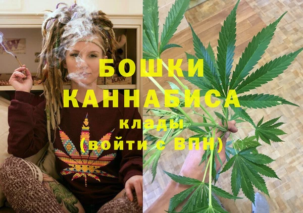 ГАЛЛЮЦИНОГЕННЫЕ ГРИБЫ Белоозёрский