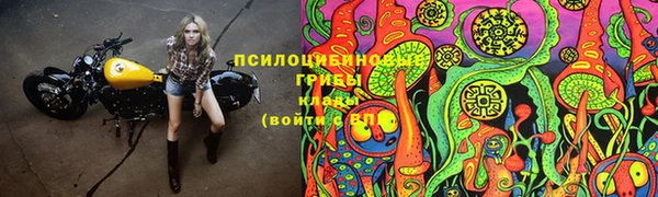 ГАЛЛЮЦИНОГЕННЫЕ ГРИБЫ Белоозёрский