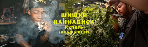 ГАЛЛЮЦИНОГЕННЫЕ ГРИБЫ Белоозёрский