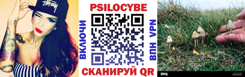 Купить где Тихвин Галлюциногенные грибы Cubensis